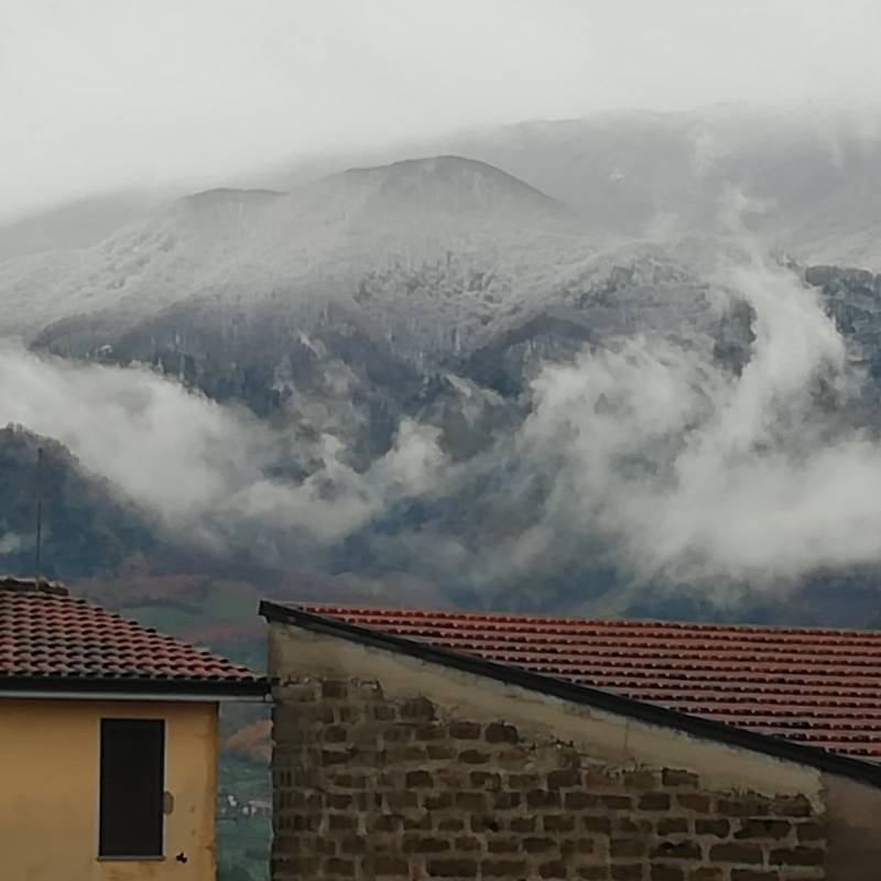 Nevigata del 2911 21