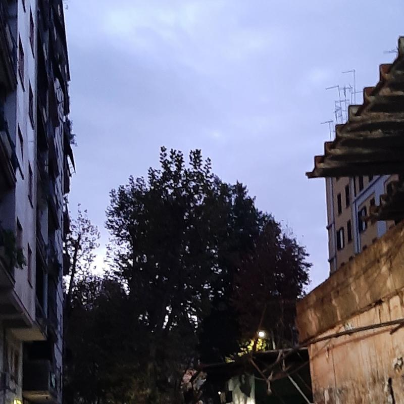 Fotosegnalazione di Roma tiburtino