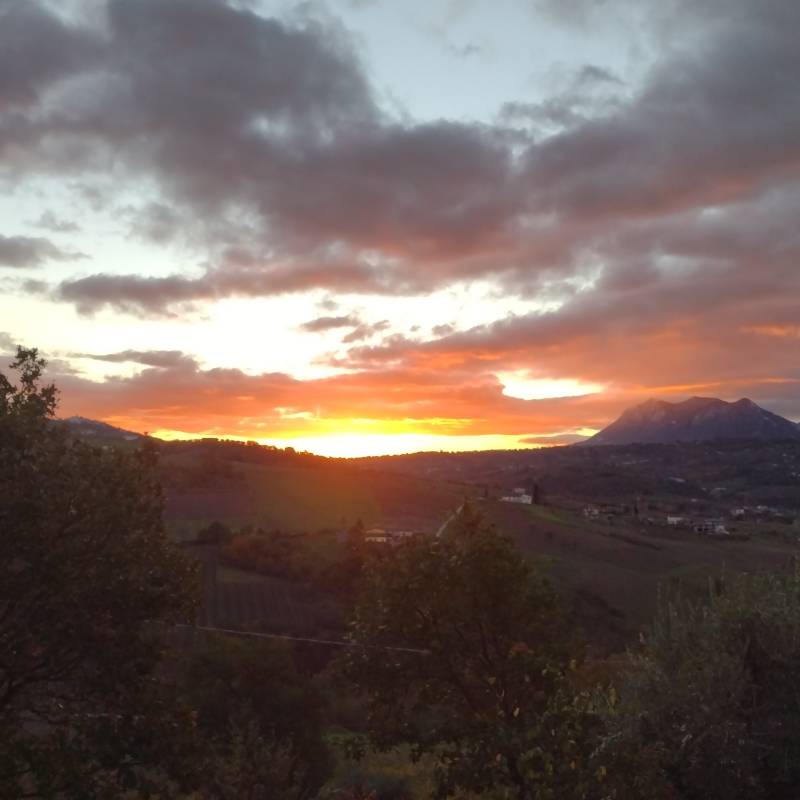 Fotosegnalazione di Santa paolina