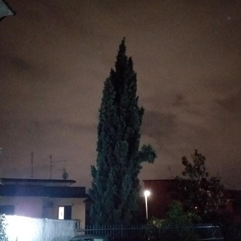 Fotosegnalazione di Roma torre angela