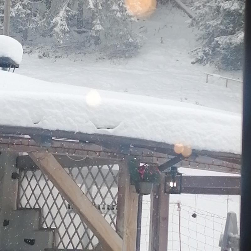 Fotosegnalazione di Ortisei