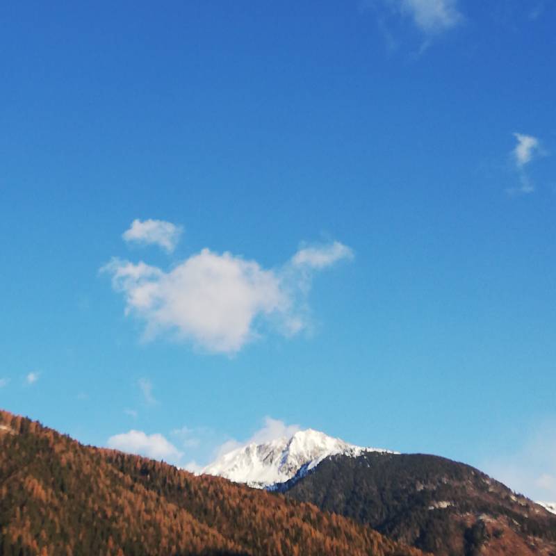 Fotosegnalazione di Caderzone terme