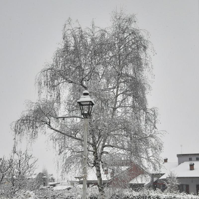 Fotosegnalazione di Boves