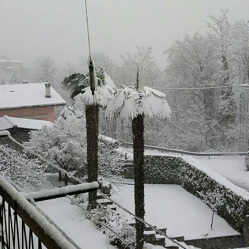 Fotosegnalazione di Casale corte cerro