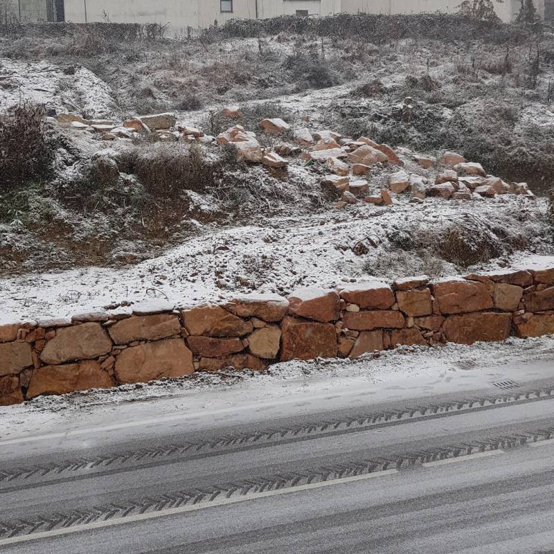 Fotosegnalazione di Cavaria con premezzo