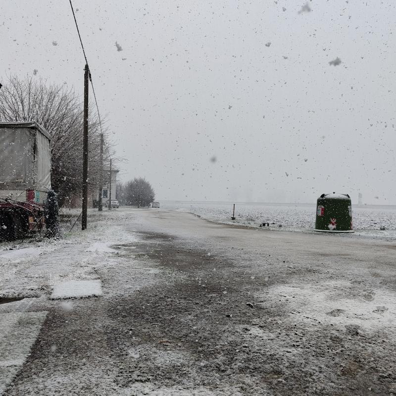 Neve forte