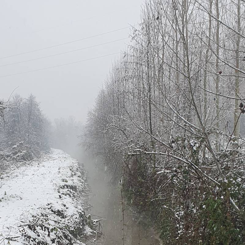 Fotosegnalazione di Santa cristina e bissone
