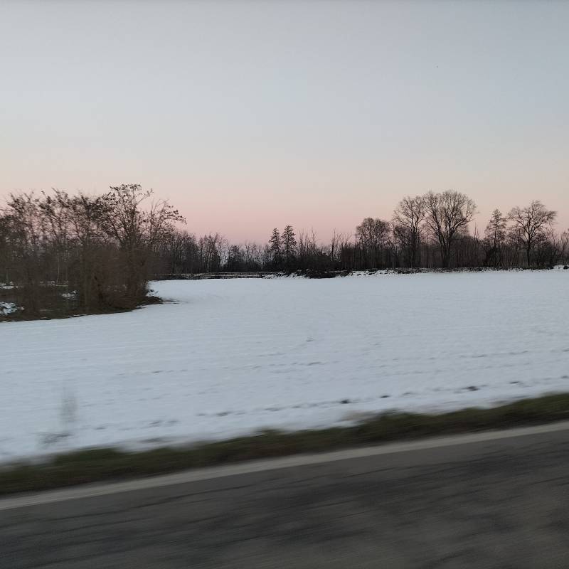 Fotosegnalazione di Sant'alessio con vialone