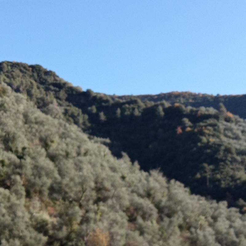 Fotosegnalazione di Rocchetta nervina