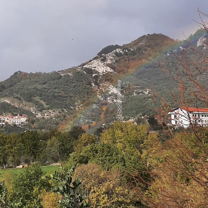 Fotosegnalazione di Montecorvino rovella