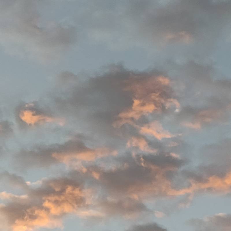 Fotosegnalazione di Gorizia