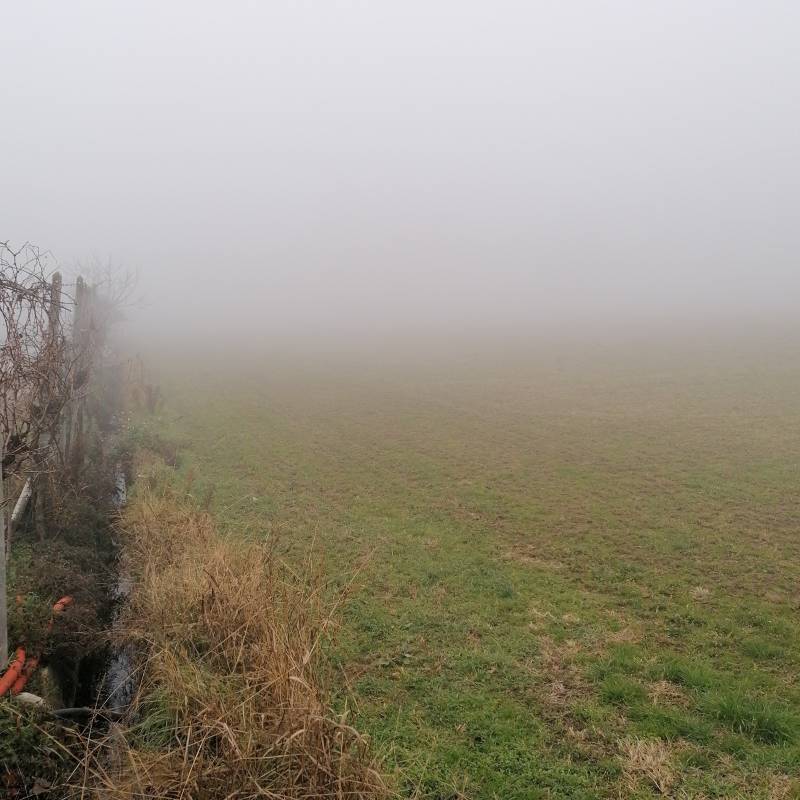 Fotosegnalazione di Vigasio