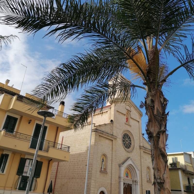 Fotosegnalazione di San ferdinando di puglia