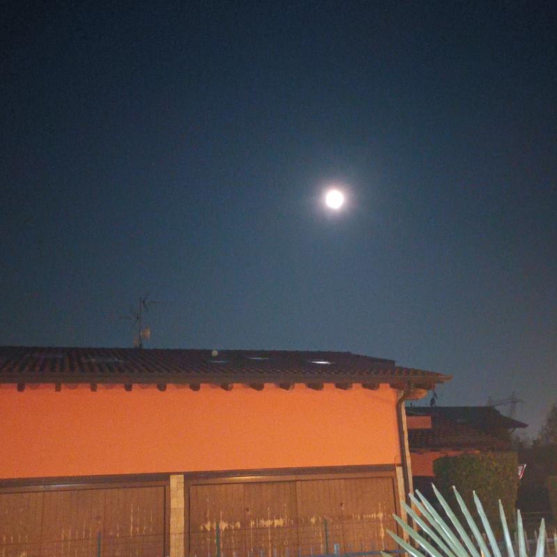 Fotosegnalazione di Filago