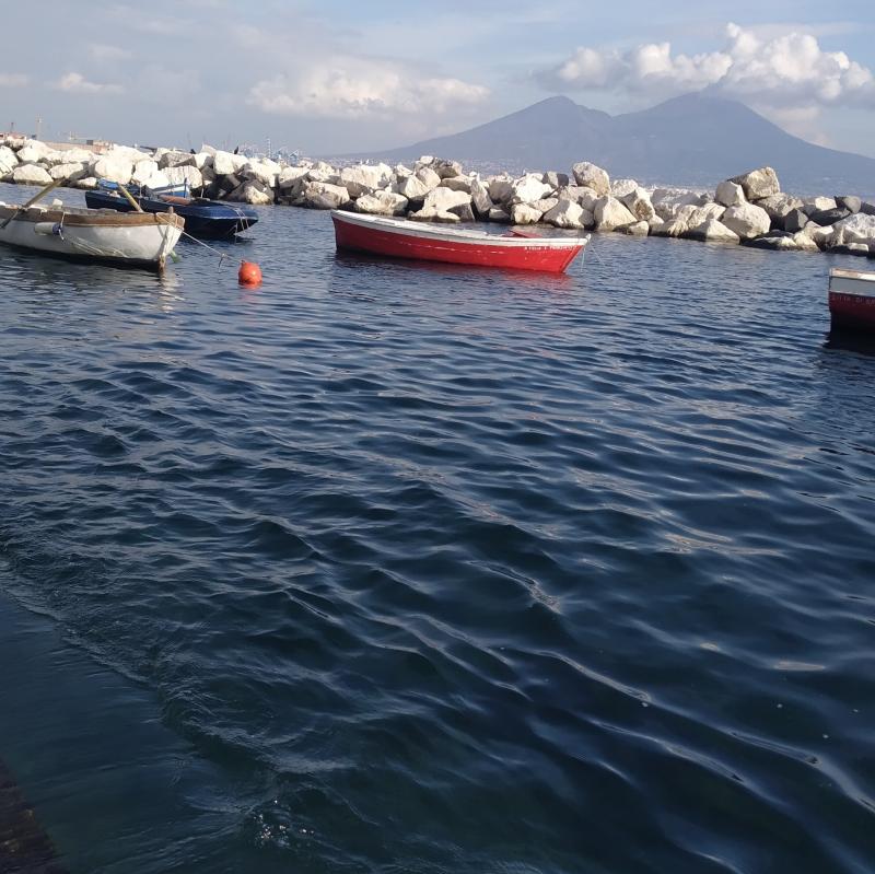 Fotosegnalazione di Napoli chiaia