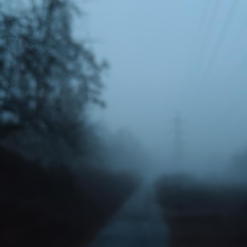 Nebbia al bosco delle bambole