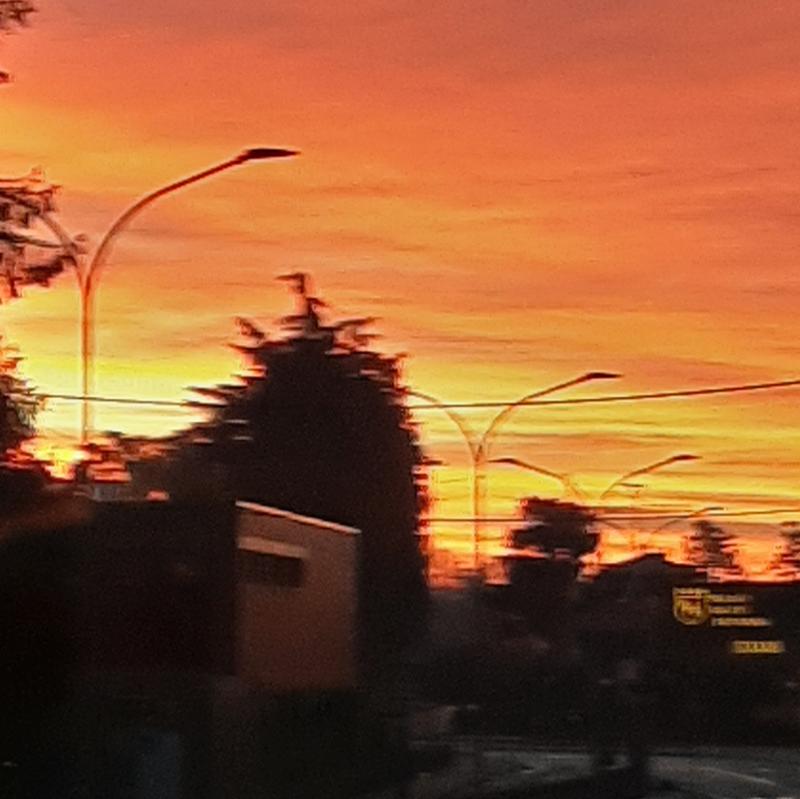 Fotosegnalazione di Castellanza