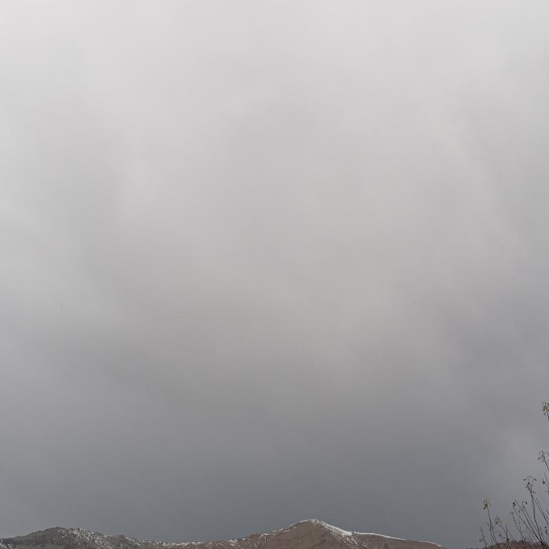 Fotosegnalazione di Forno canavese