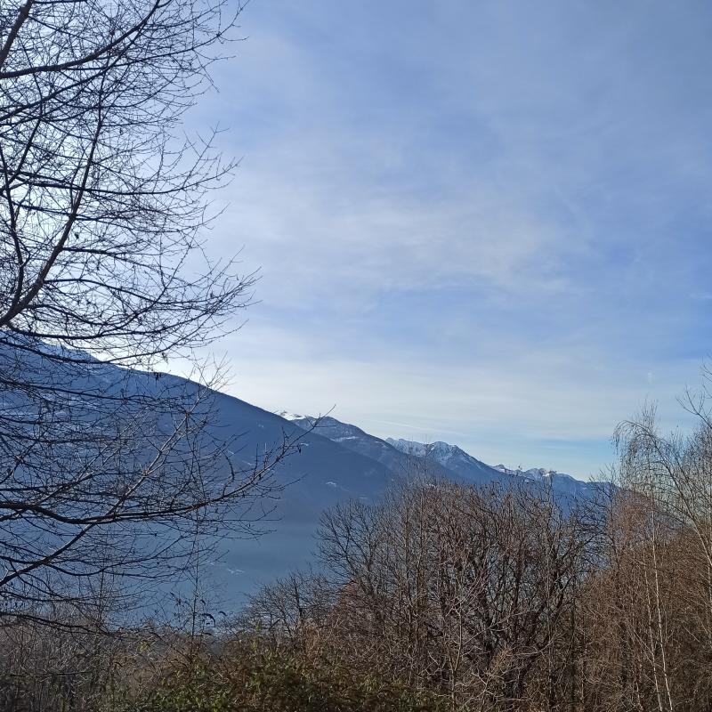 Fotosegnalazione di Teglio
