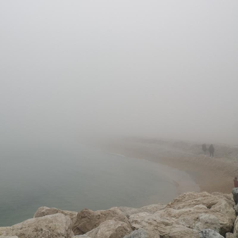Fotosegnalazione di Civitanova marche