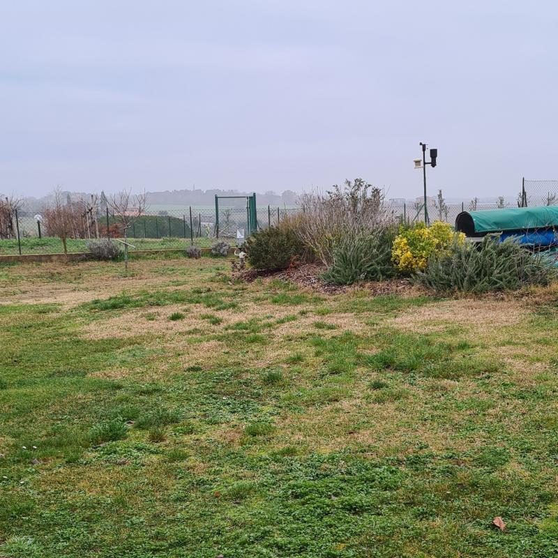 Fotosegnalazione di Castiglione del lago