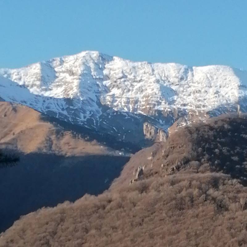 Fotosegnalazione di Maggio