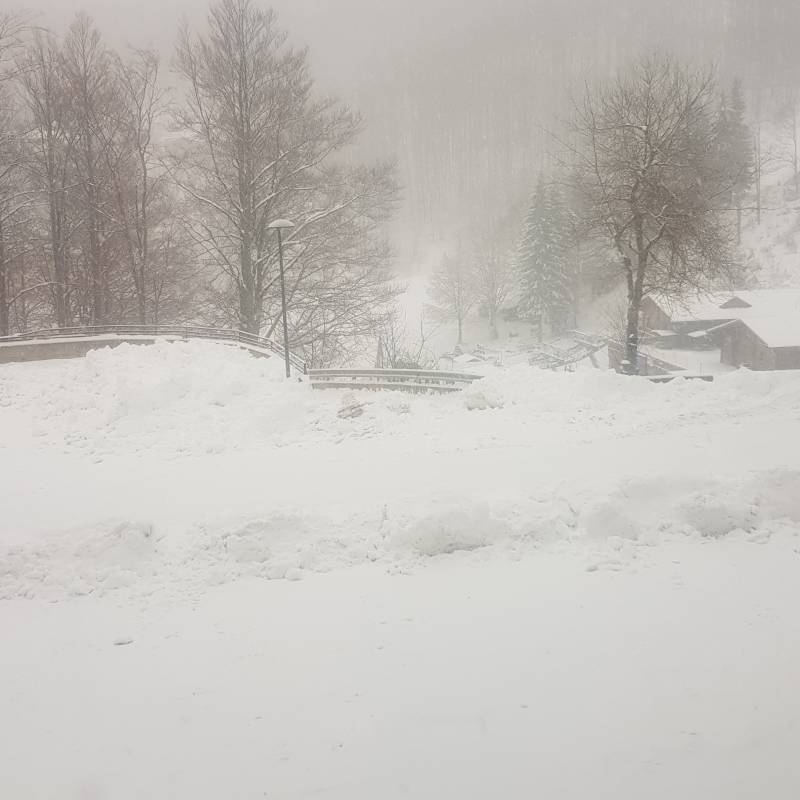 Fotosegnalazione di Cerreto laghi