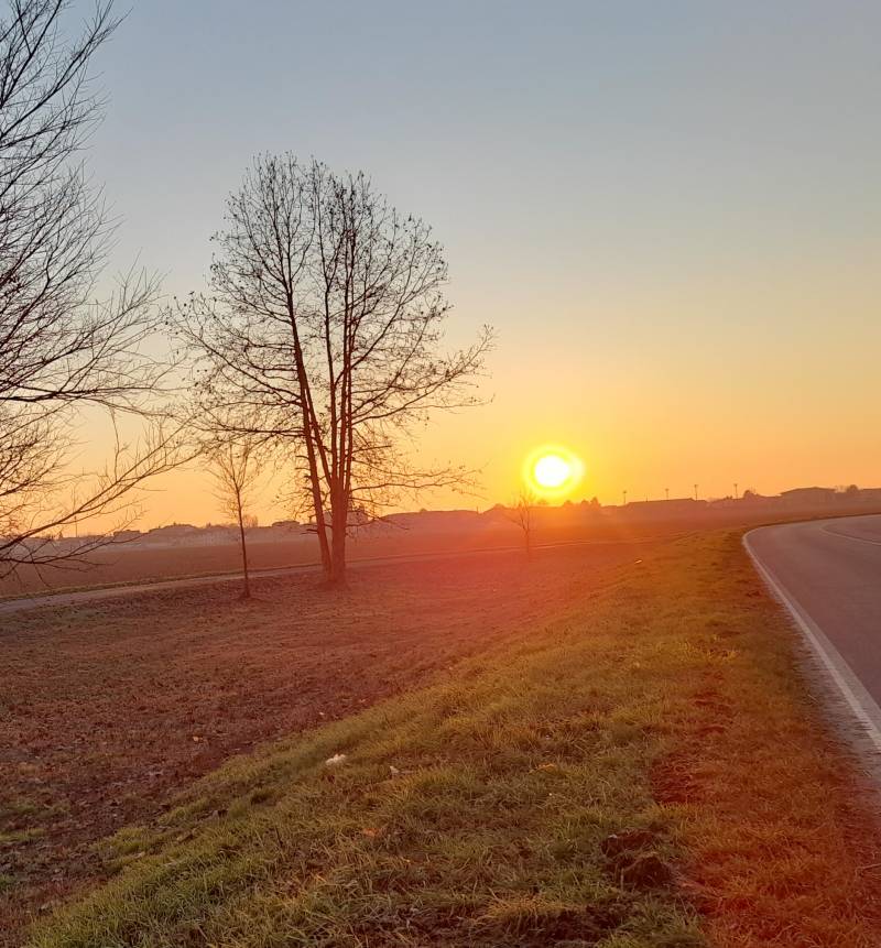 Sole di una giornata invernale