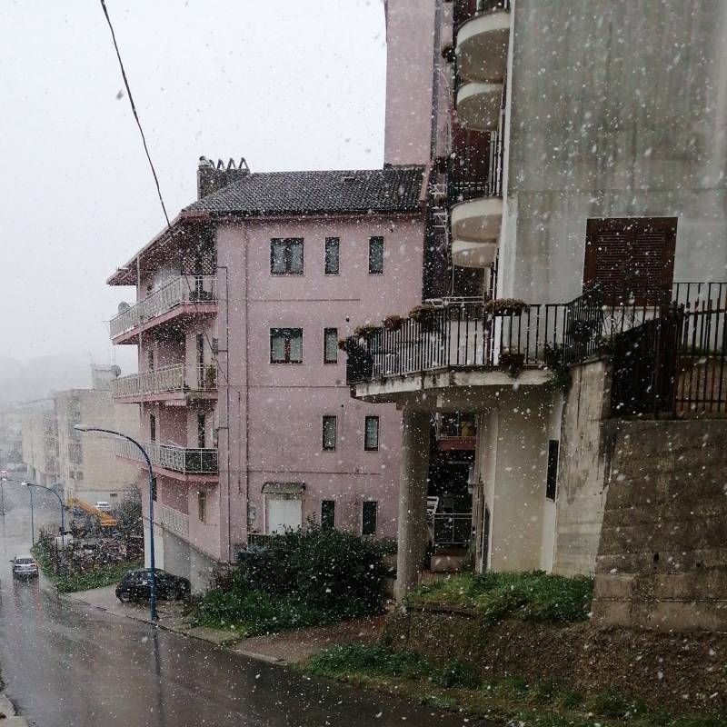 Fotosegnalazione di Genzano di lucania