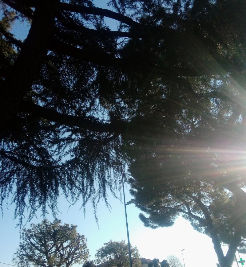 Bellissima giornata ma fredda