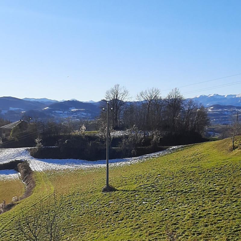 Fotosegnalazione di Casina