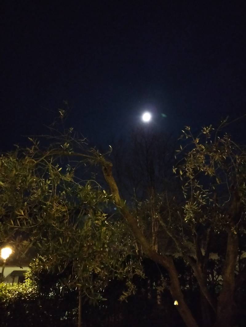 Luna piena e cielo stellato