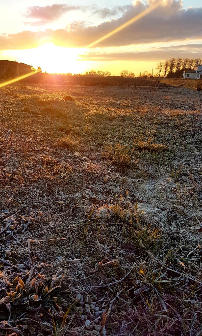 Un solare buongiorno