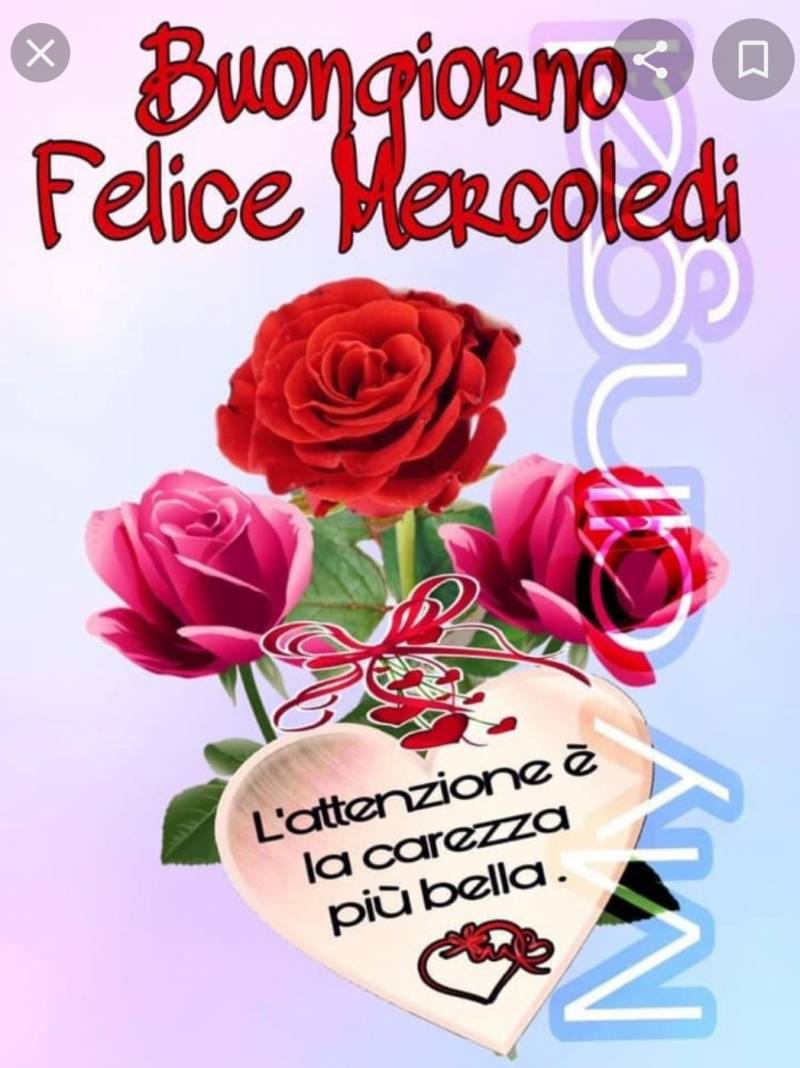 Fulvia immagine del buongiorno