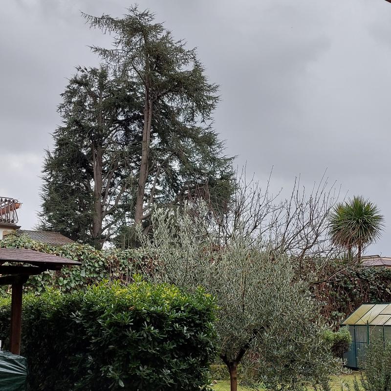 Pioggia e nuvole a Grottaferrata