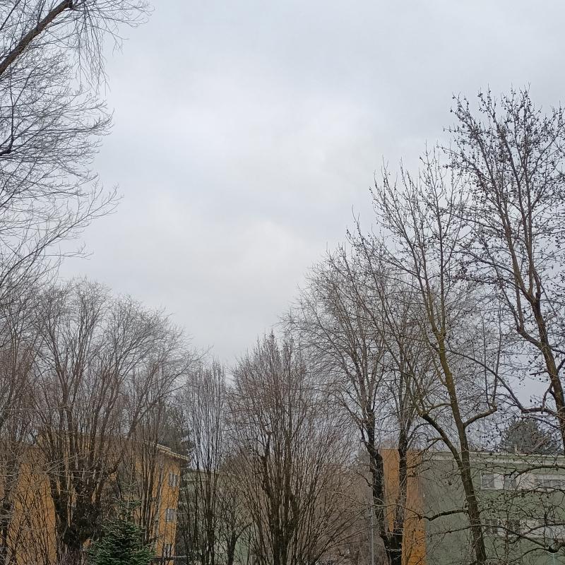 Fotosegnalazione di San donato milanese