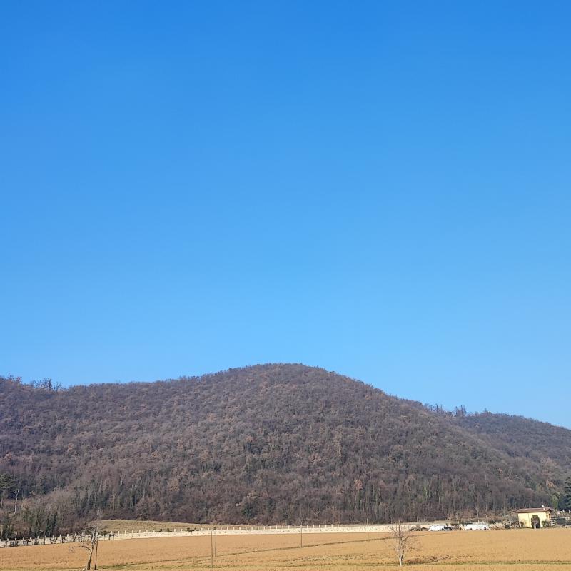 Fotosegnalazione di Rodengo saiano