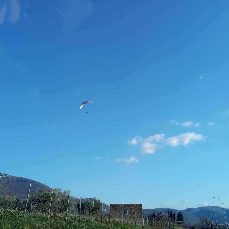 Fotosegnalazione di Palombara sabina