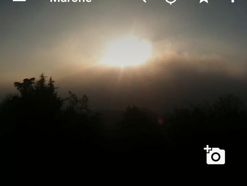 Foto segnalazione di marone