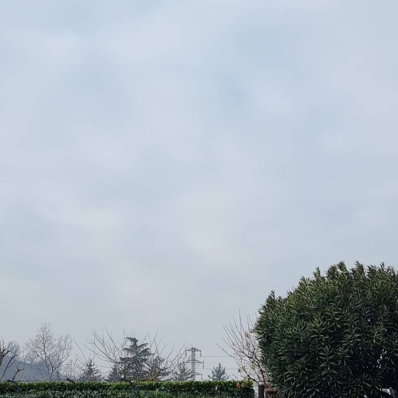 Fotosegnalazione di Pradalunga