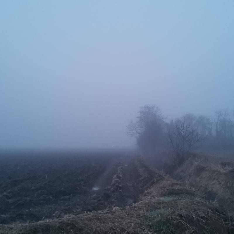 Fotosegnalazione di Gambarana