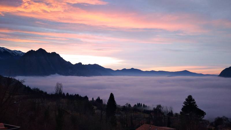 Nebbia sul lago