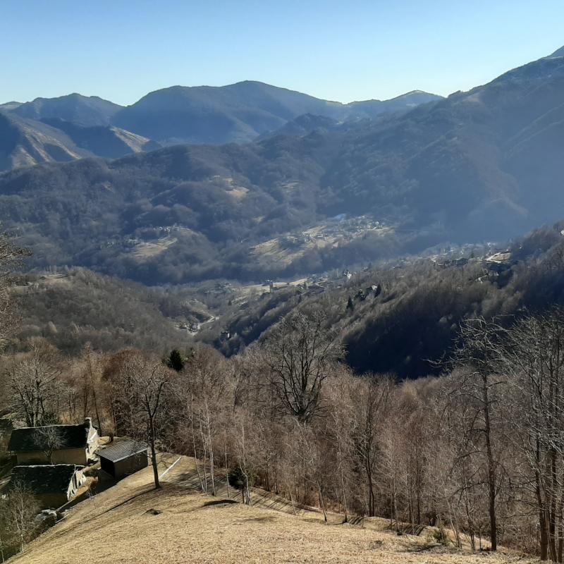 Fotosegnalazione di Viu'