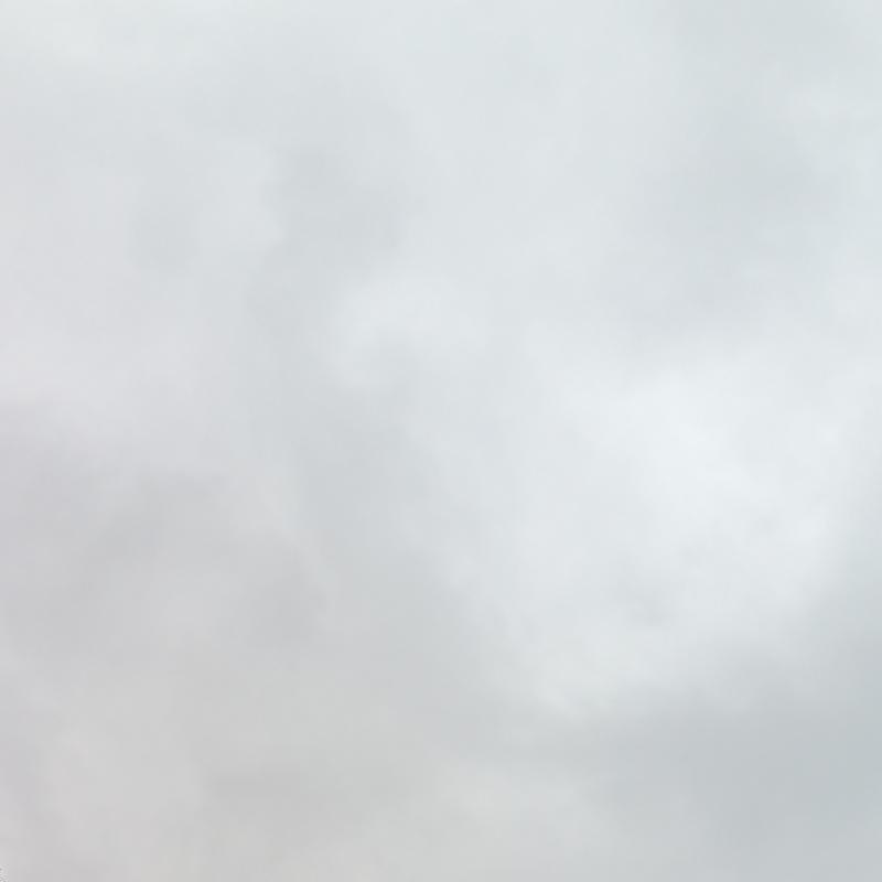 Fotosegnalazione di Roma parioli