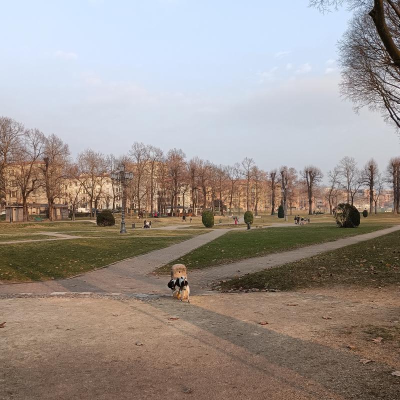 Fotosegnalazione di Mantova