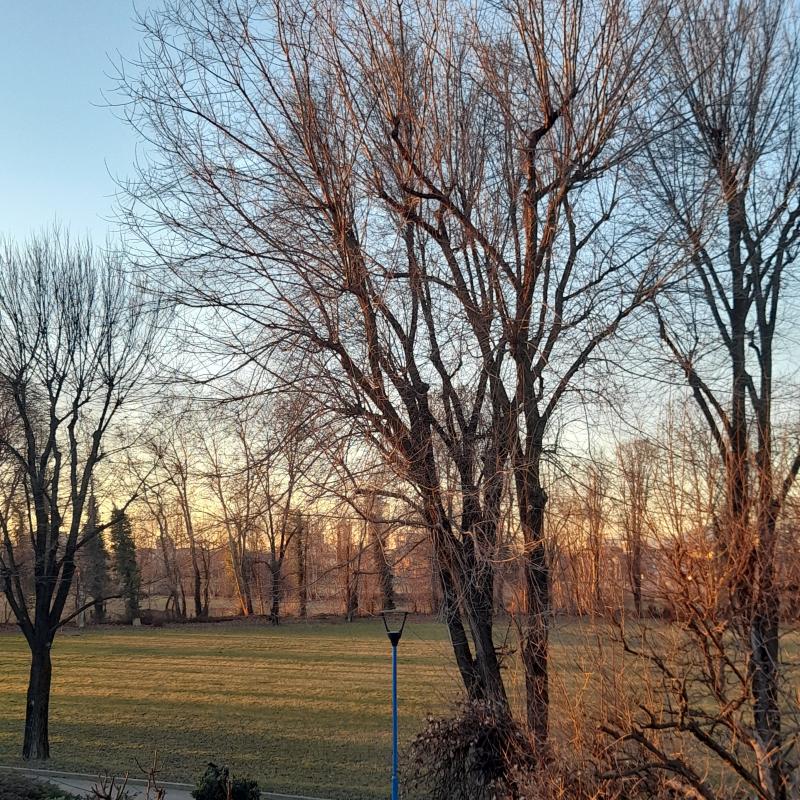 Tramonto il giorno della candelora