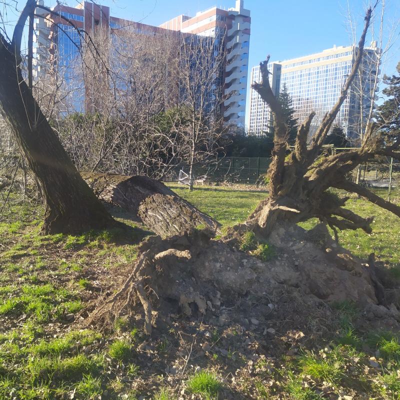 Oggi giornata ventosa