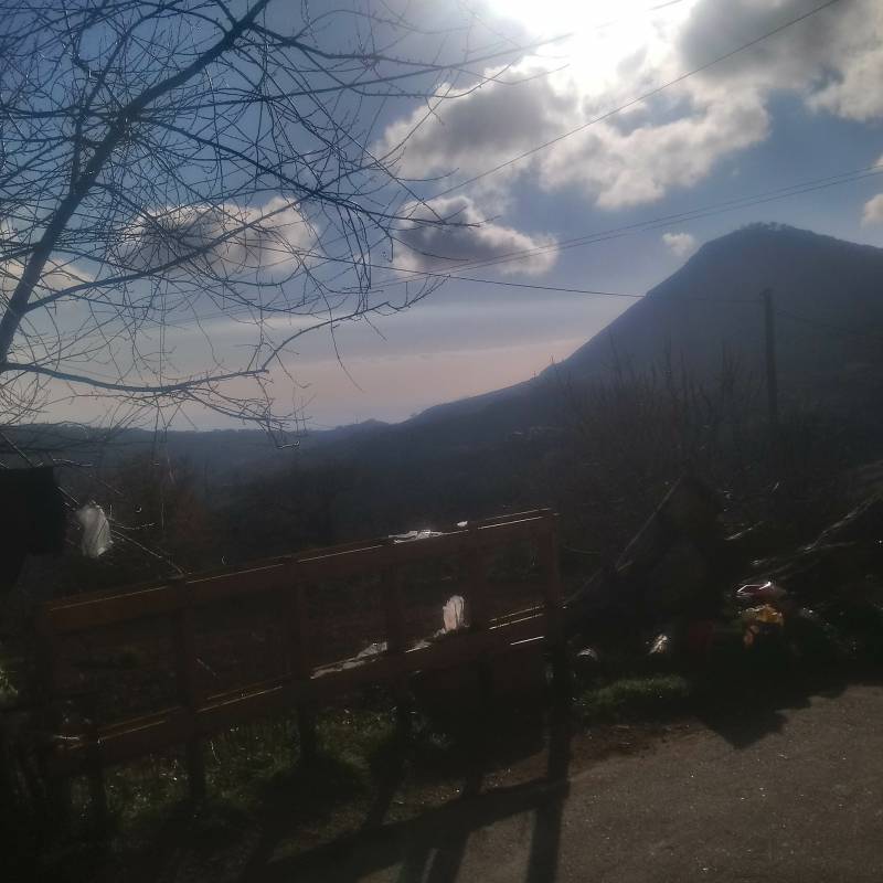 Fotosegnalazione di Cetraro