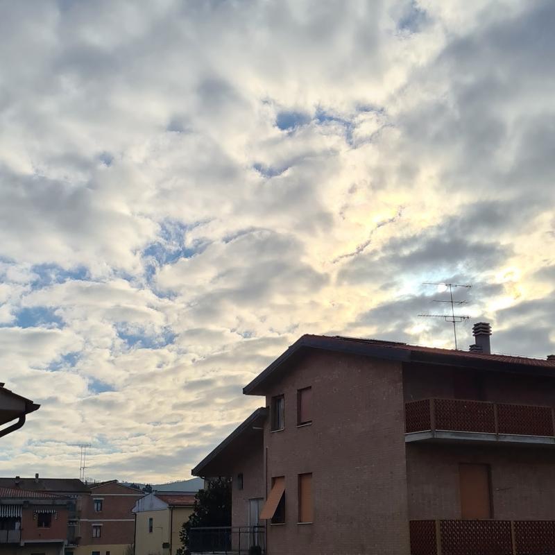 Fotosegnalazione di Buonconvento
