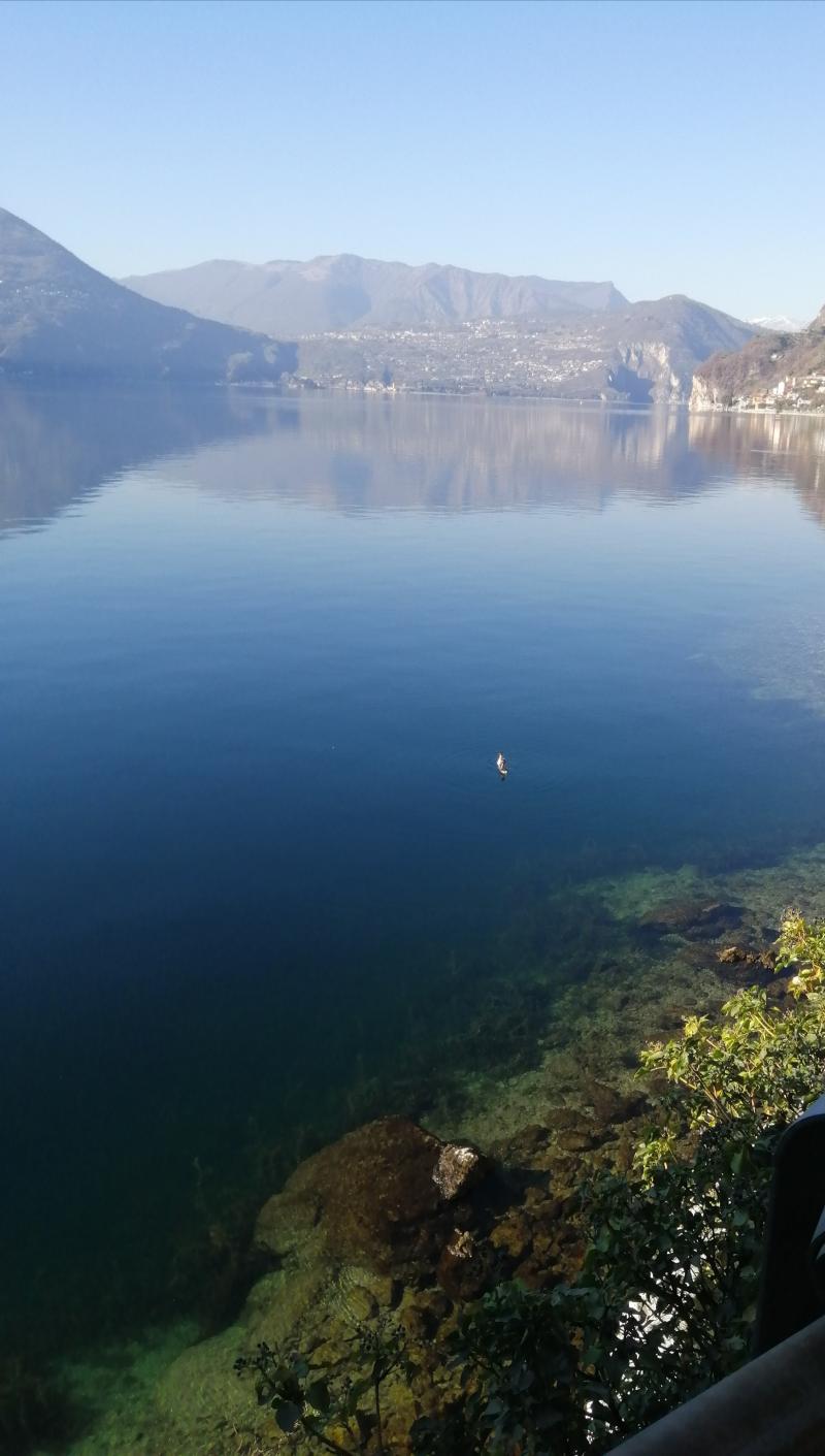 Tiz limpida